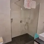 Apartman Schaefflers