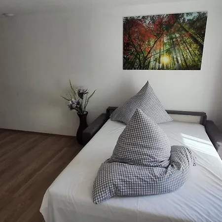 Schaefflers Apartament *
